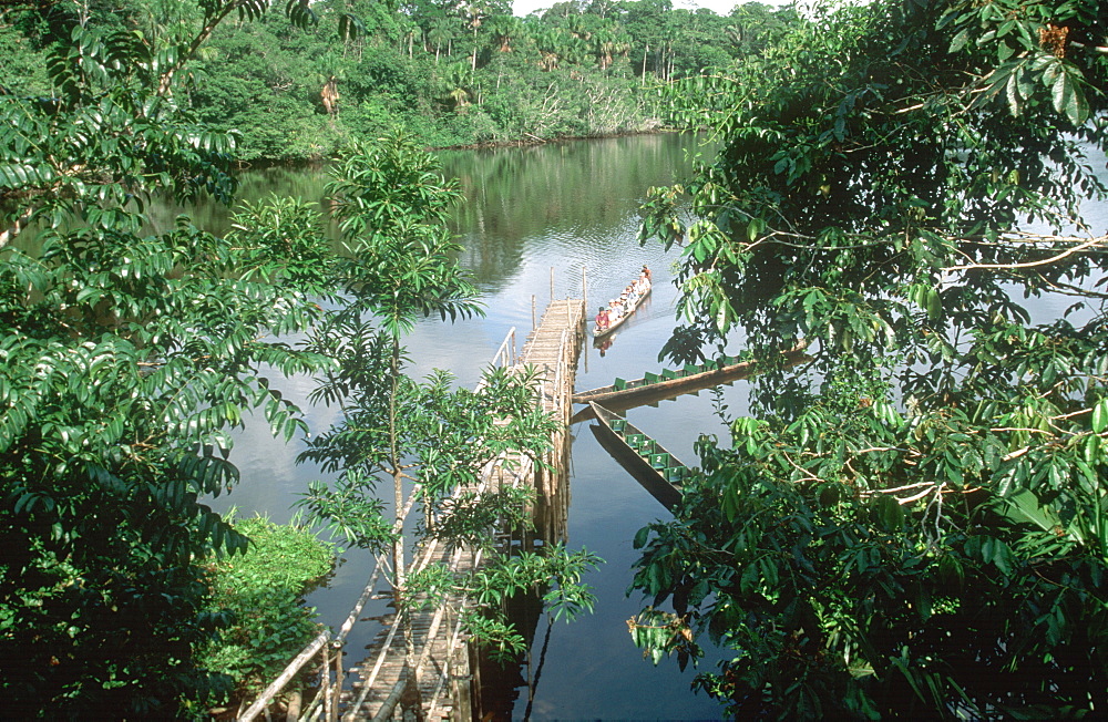 Amazon Basin, Napo River (tributary) La Selva Jungle Lodge, visitors traveling to lodge by canoe through rainforest, Amazon, Ecuador