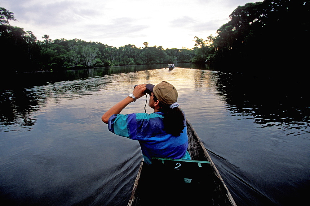 Amazon Basin, Napo River (tributary) La Selva Jungle Lodge, naturalists in dugout canoe on jungle stream in primary rainforest, Amazon, Ecuador