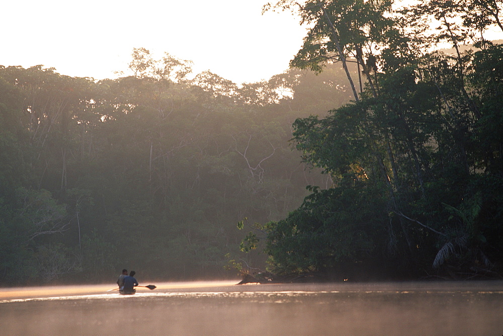 Amazon River Basin Napo River (Amazon tributary) down river from Coca indian in dugout canoe in primary, uncut jungle rainforest, Oriente, Ecuador