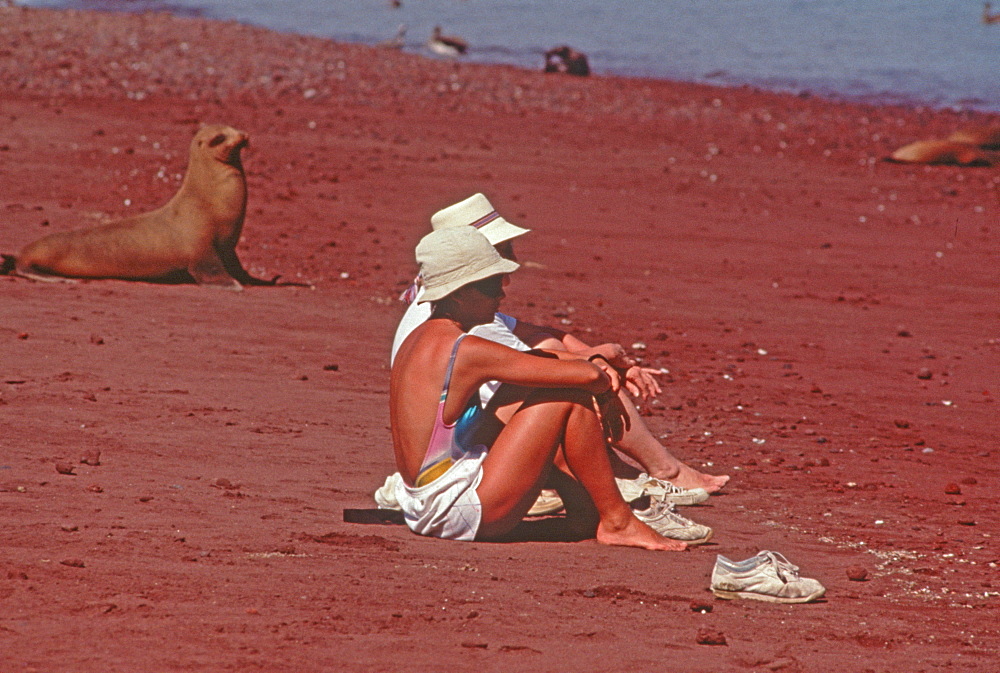 Rabida Island, tourists sitting quietly near Sea Lions to demonstrate how unafraid the animals are during an ecotourism trip, Galapagos Islands, Ecuador