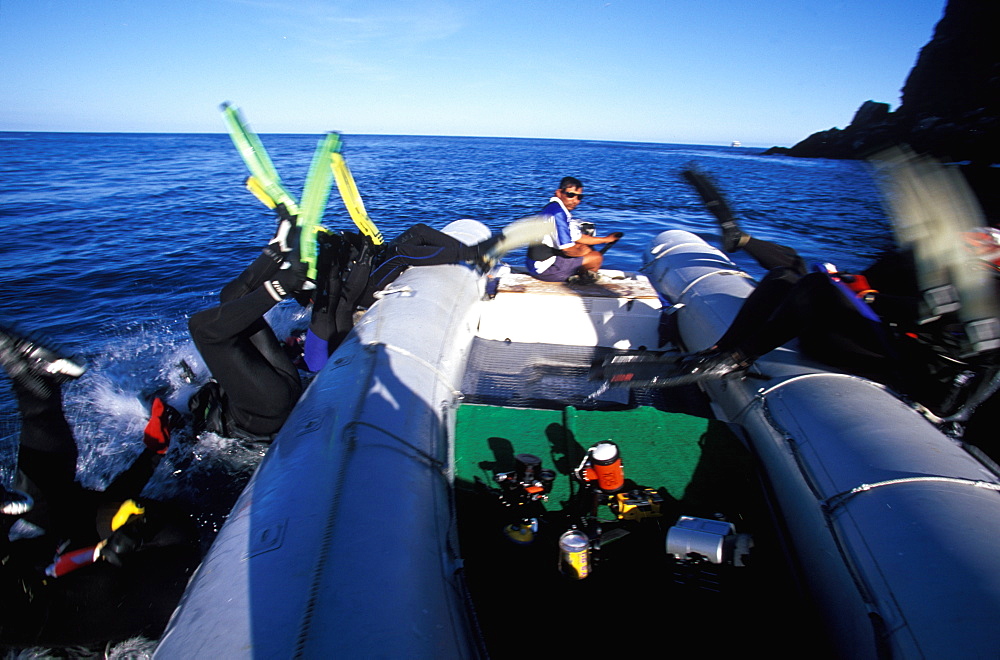 Scuba divers in an inflatable tender jumping into the water at their dive site off Wolf Island, one of the most northerly islands, Galapagos Islands, Ecuador