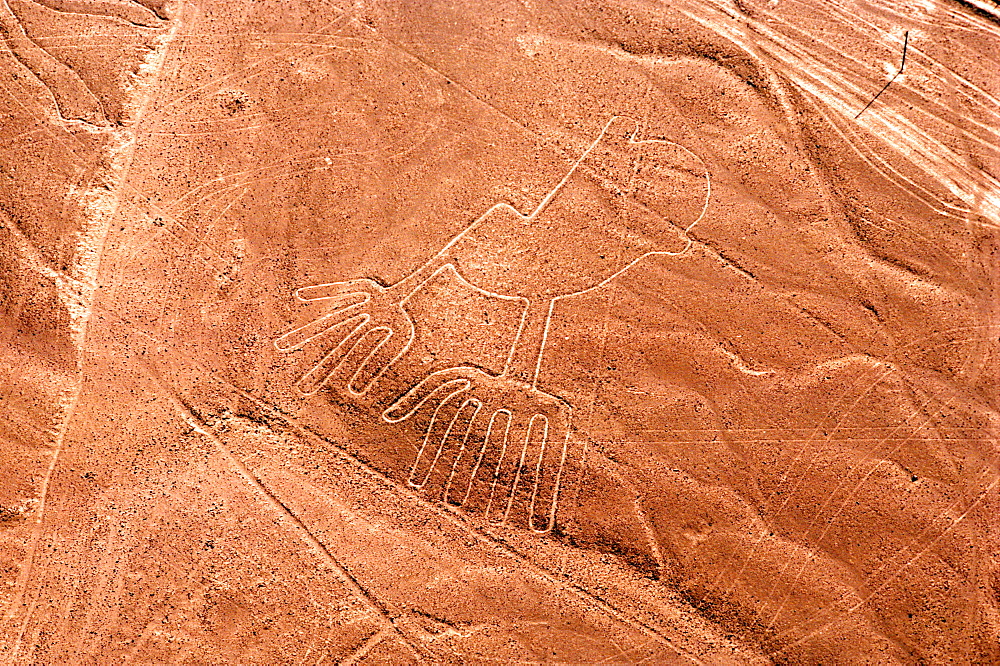 Nazca lines, 200AD-800AD huge drawings in the desert on the south coast of Peru aerial view of giant frog, Peru 