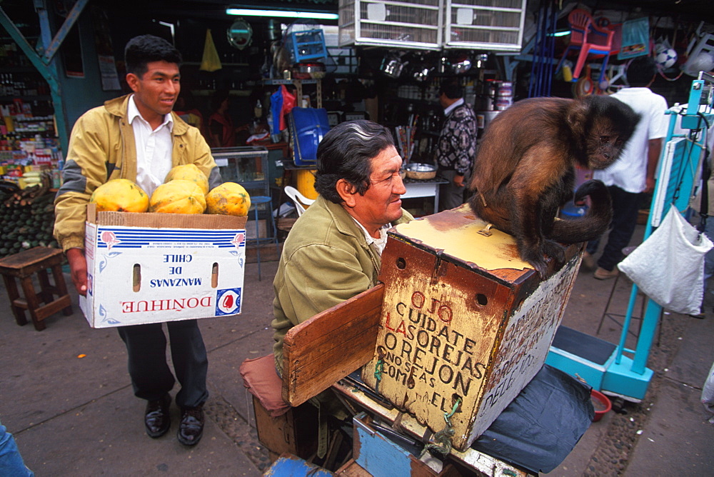 Chiclayo Mercado de Brujos or Witchcraft Market with many choices of herbal medicines, potions and charms a trained fortune telling monkey, North Coast, Peru