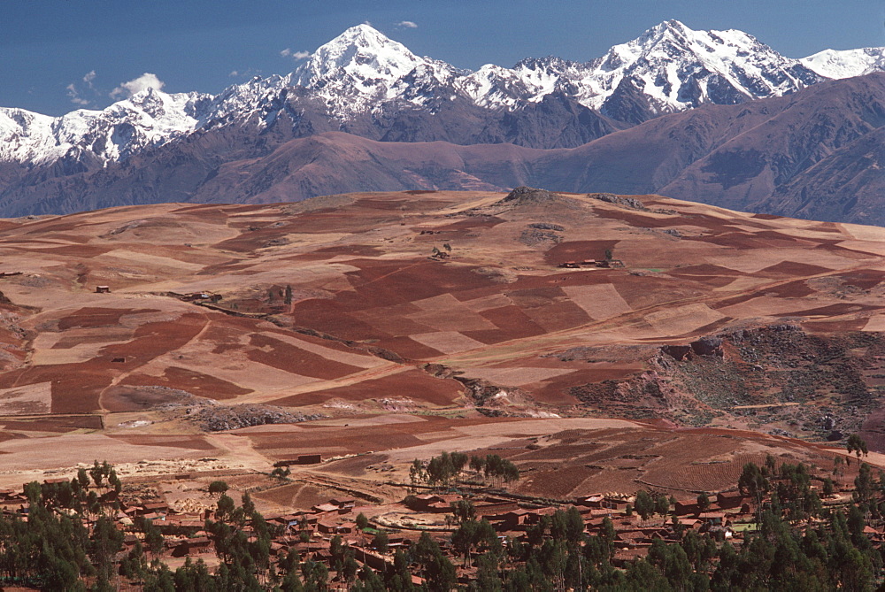 The Cordillera de Urubamba Mtn s above fields at Maras near Cuzco, Andes Mountains, Highlands, Peru