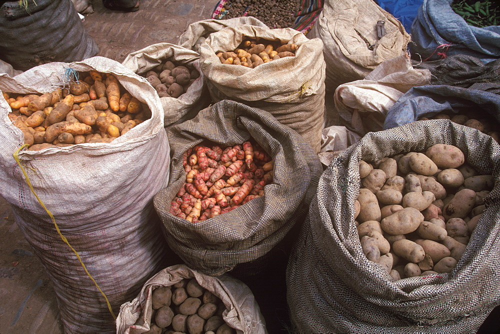 Pisac, village in Sacred Valley of the Incas near Cuzco and famous for one of the world's most colorful markets various potatoes, Highlands, Peru