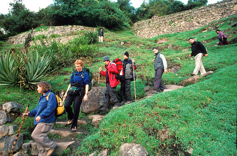 Machu Picchu hikers arrive at the ancient city after having completed the trek of the Inca Trail, Highlands, Peru