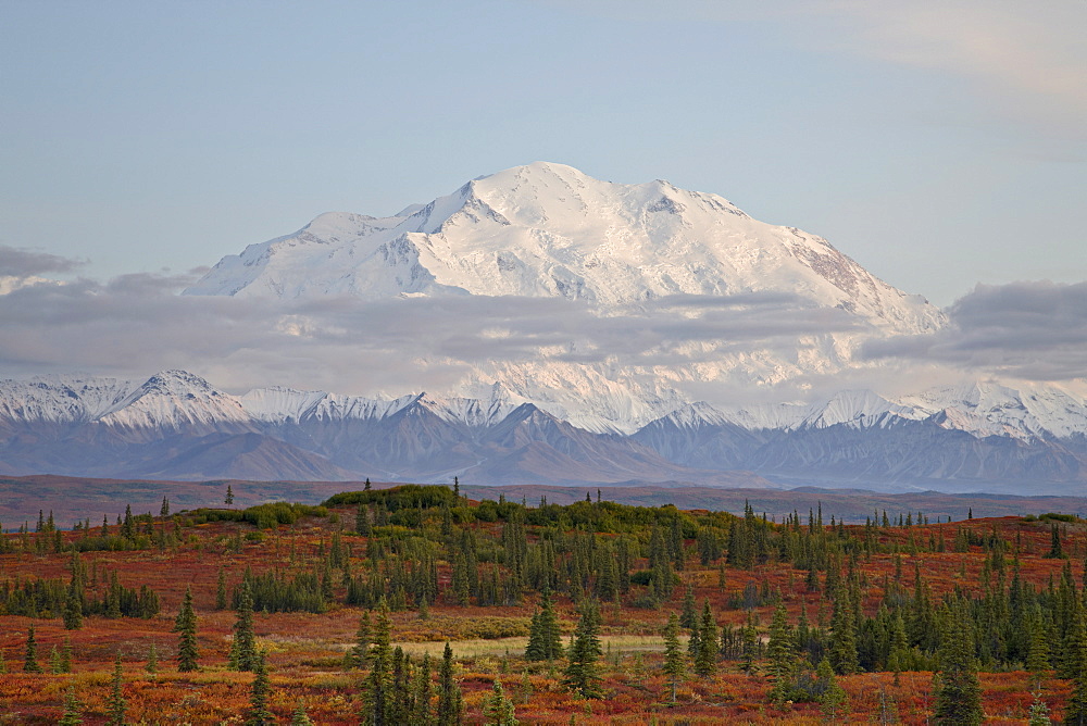 Mount McKinley (Mount Denali) at sunset in the fall, Denali National Park and Preserve, Alaska, United States of America