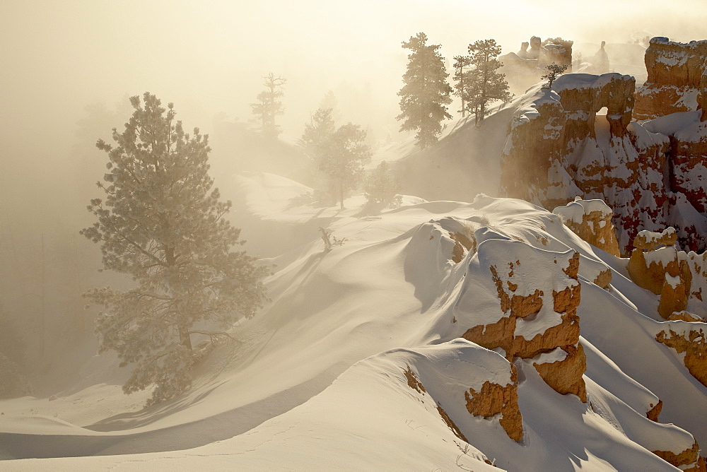 Foggy sunrise at Sunrise Point with snow, Bryce Canyon National Park, Utah, United States of America, North America