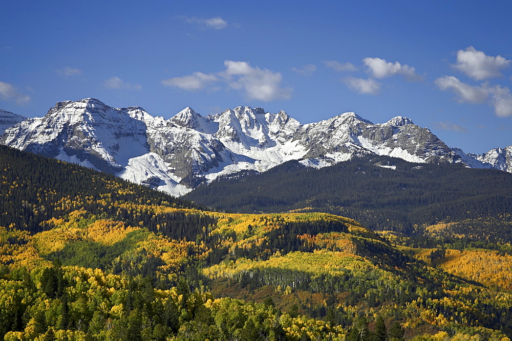 Sneffels Range with fall colors, near Ouray, Colorado, United States of America, North America