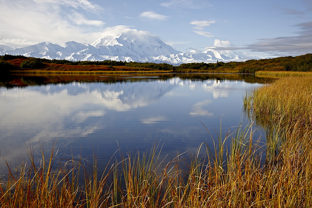 Mount McKinley reflected in a pond, Denali National Park and Preserve, Alaska, United States of America, North America