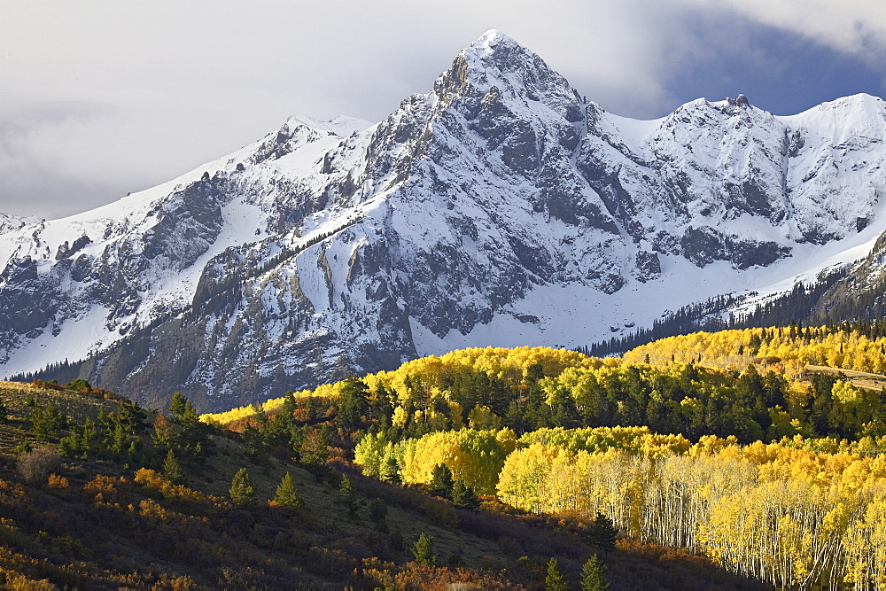 Sneffels Range with aspens in fall colors, near Ouray, Colorado, United States of America, North America