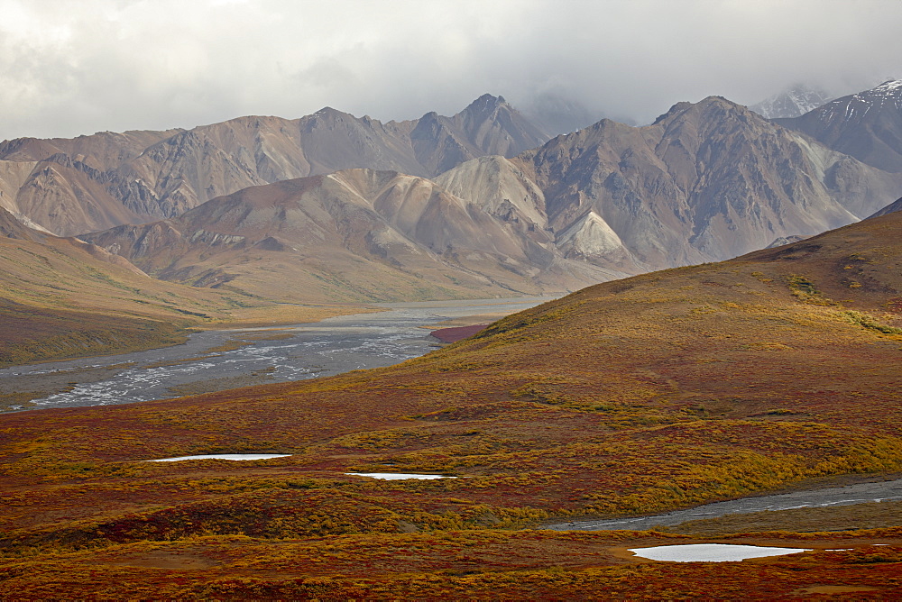 Mountains and tundra in fall color, Denali National Park and Preserve, Alaska, United States of America, North America