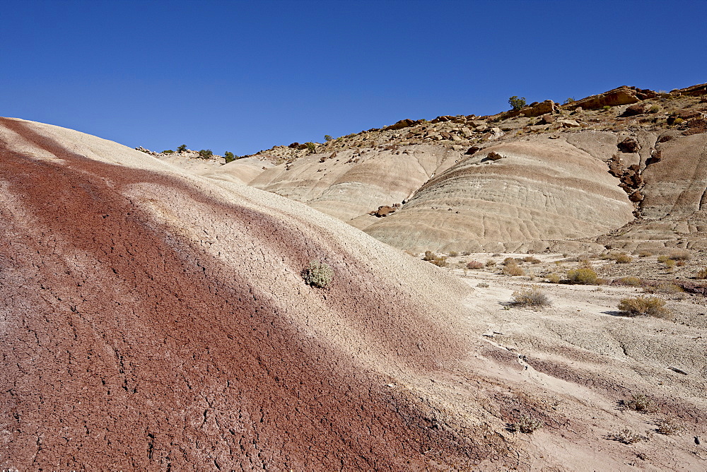 Badlands with maroon color, Capitol Reef National Park, Utah, United States of America, North America