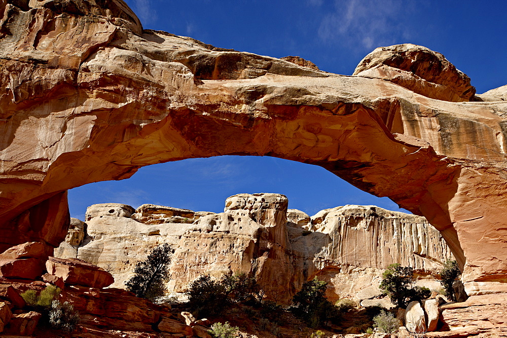 Hickman Bridge, Capitol Reef National Park, Utah, United States of America, North America