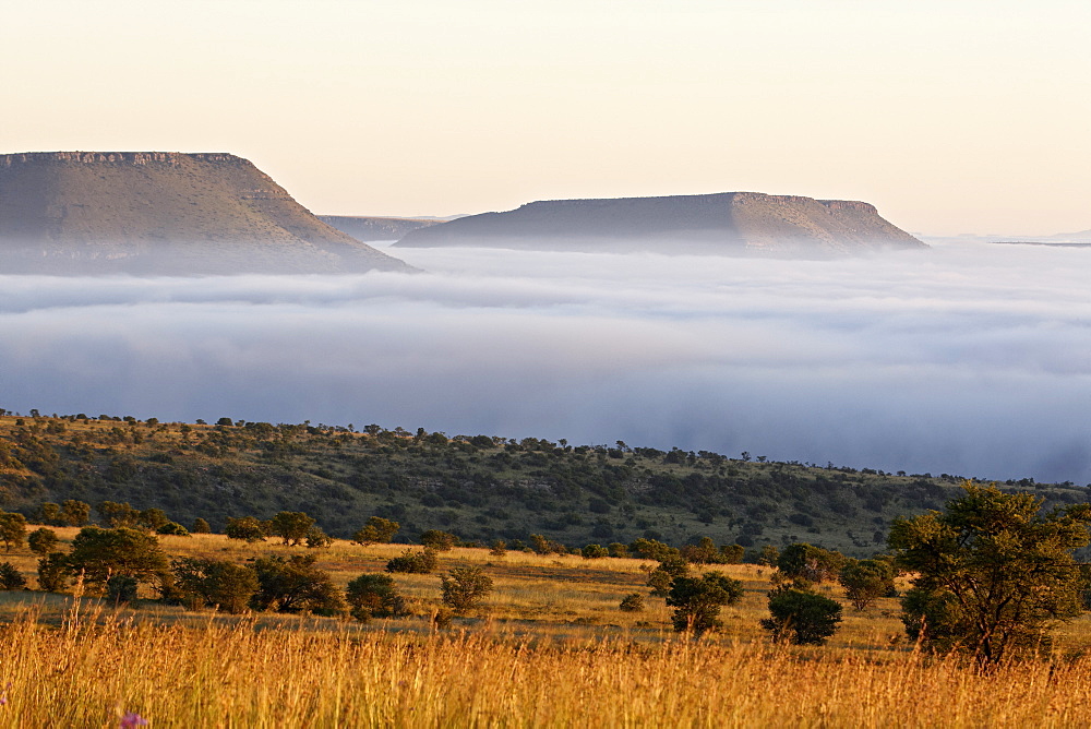 Cloud layer at dawn, Mountain Zebra National Park, South Africa, Africa