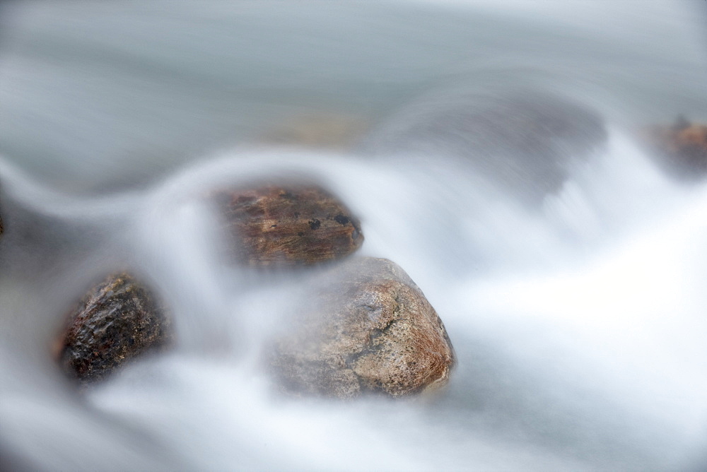 Boulders in Baring Creek, Glacier National Park, Montana, United States of America, North America