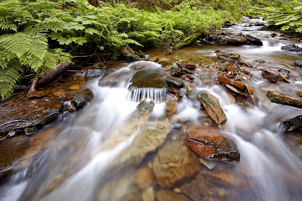 Cascades on Yellow Dog Creek, Coeur d'Alene National Forest, Idaho Panhandle National Forests, Idaho, United States of America, North America