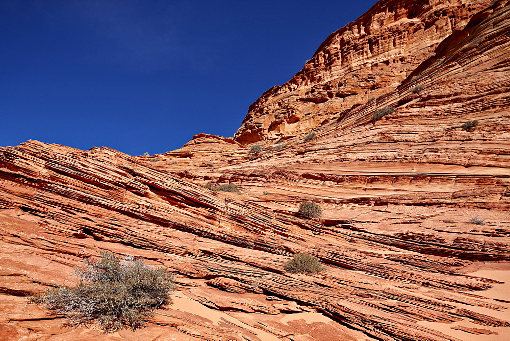 Sandstone layers, Vermillion Cliffs National Monument, Arizona, United States of America, North America