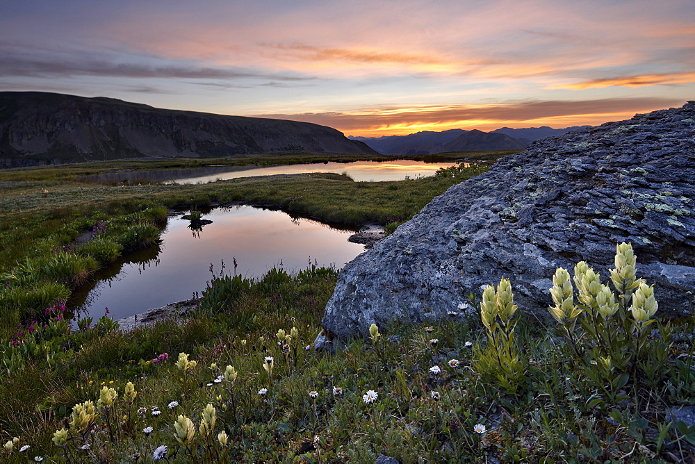 Sulphur Paintbrush and Alpine tarns at dawn, San Juan National Forest, Colorado, United States of America, North America