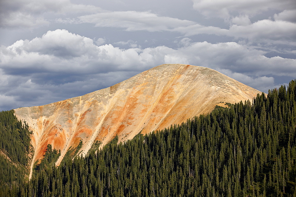 Bear Mountain, San Juan National Forest, Colorado, United States of America, North America