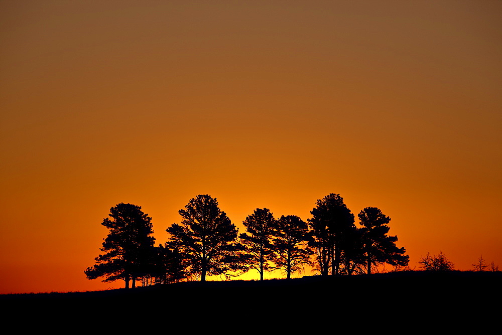 Orange sky at dawn, Custer State Park, South Dakota, United States of America, North America