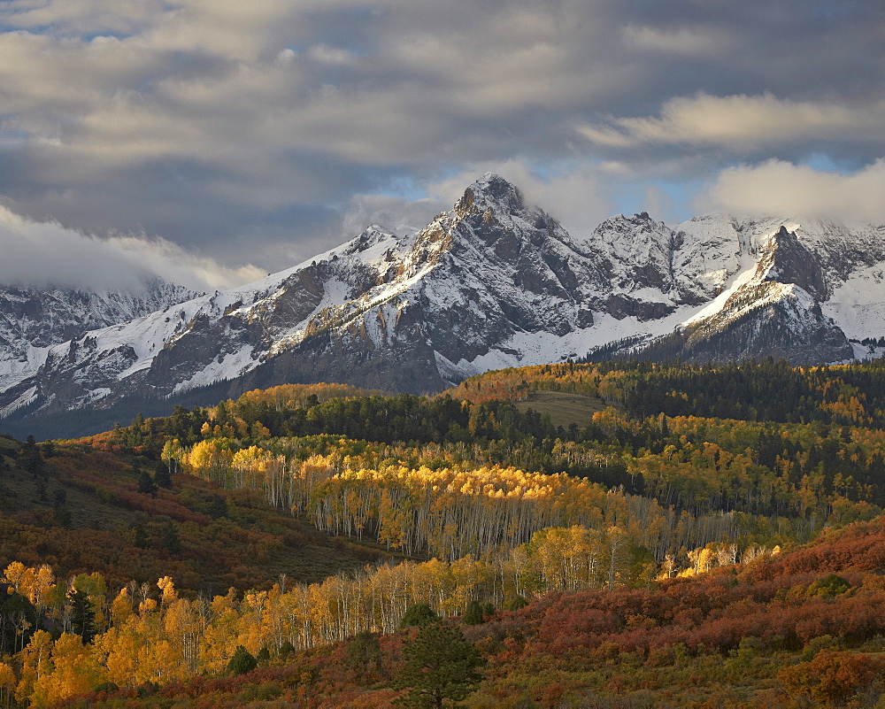 Mears Peak with snow and yellow aspens in the fall, Uncompahgre National Forest, Colorado, United States of America, North America