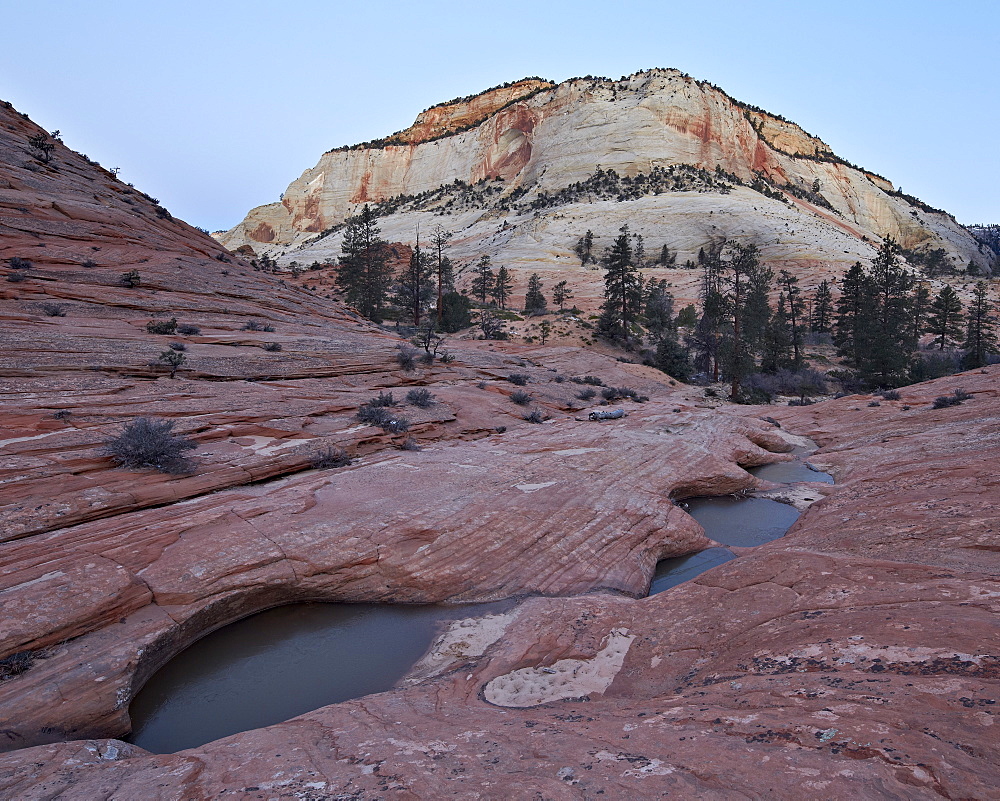 Pools in slick rock at dawn, Zion National Park, Utah, United States of America, North America 