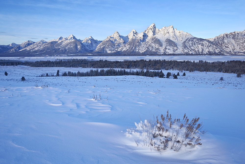 The Tetons at dawn after a fresh snow, Grand Teton National Park, Wyoming, United States of America, North America 