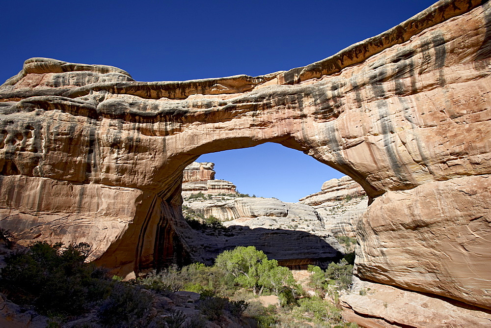 Sipapu Bridge, Natural Bridges National Monument, Utah, United States of America, North America