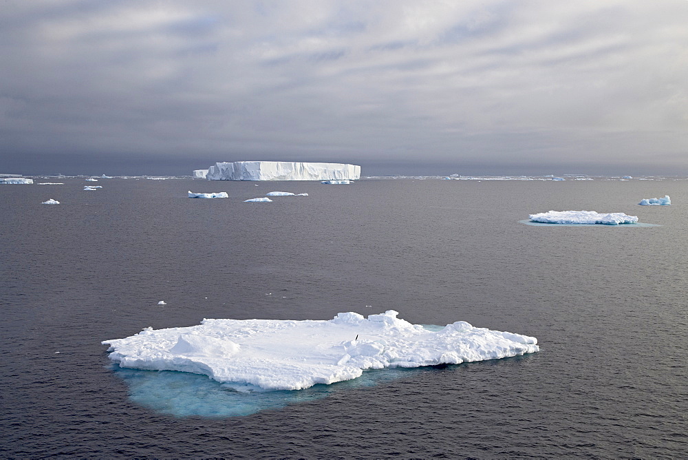 Icebergs, Antarctic Peninsula, Antarctica, Polar Regions