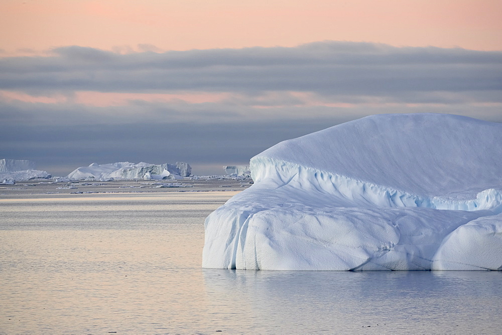 Icebergs at dawn off Antarctic Peninsula, Antarctica, Polar Regions