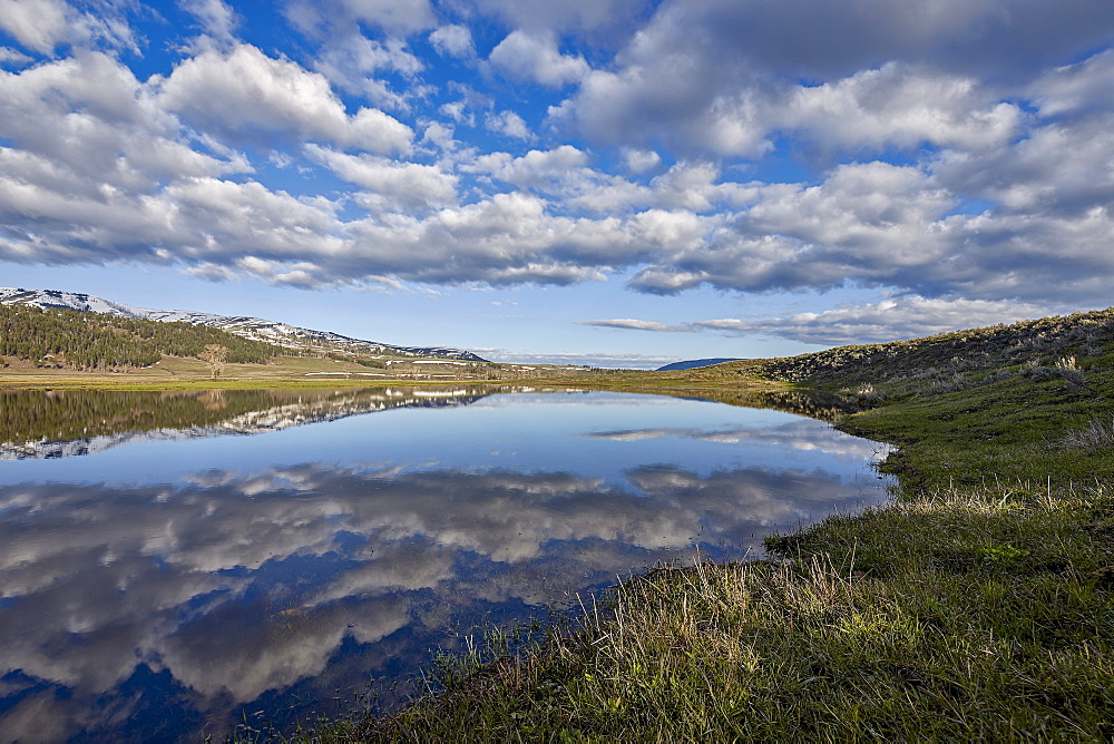 Clouds reflected in a pond, Yellowstone National Park, UNESCO World Heritage Site, Wyoming, United States of America, North America