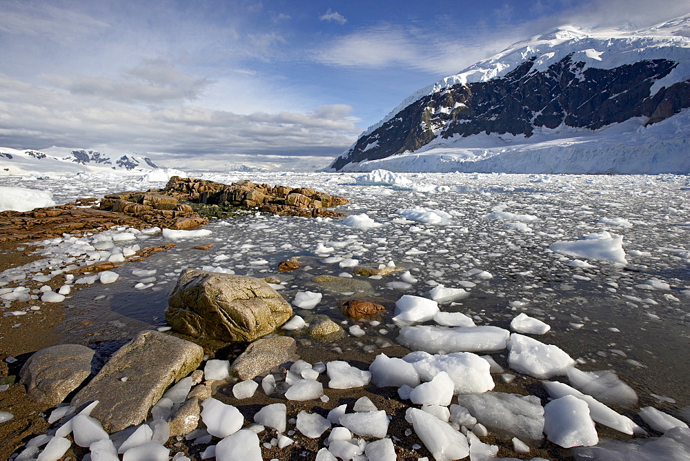 Neko Harbor, Antarctic Peninsula, Antarctica, Polar Regions