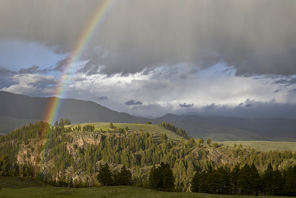 Rainbow, Yellowstone National Park, UNESCO World Heritage Site, Wyoming, United States of America, North America