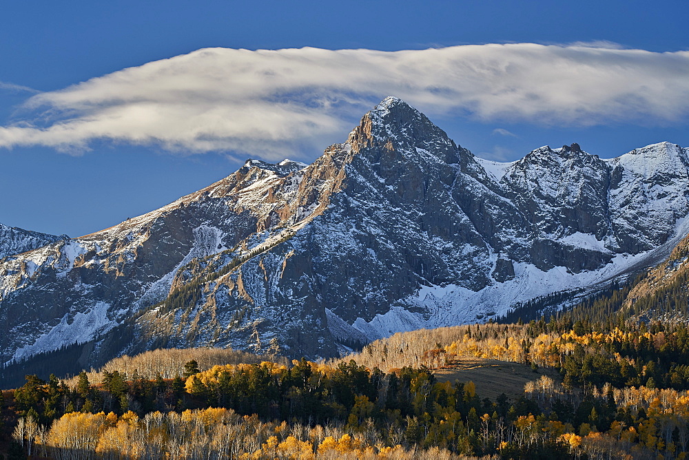 Wolcott Mountain in the fall with yellow and bare aspen, Uncompahgre National Forest, Colorado, United States of America, North America