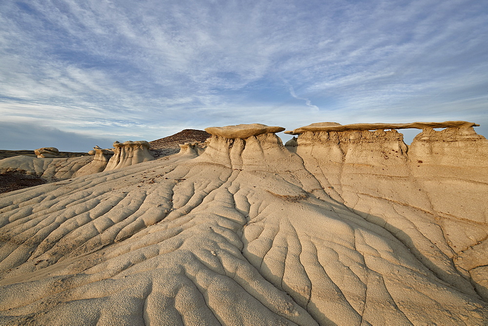 Badlands, Bisti Wilderness, New Mexico, United States of America, North America