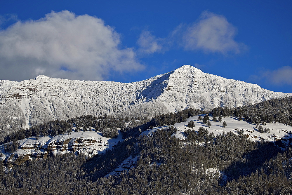 Snow-covered mountain in the winter, Yellowstone National Park, UNESCO World Heritage Site, Wyoming, United States of America, North America