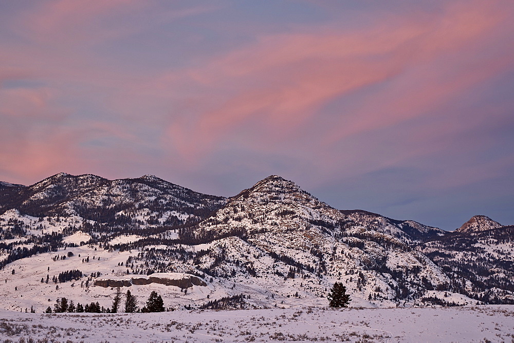 Pink clouds over snow-covered hills at sunset, Yellowstone National Park, UNESCO World Heritage Site, Wyoming, United States of America, North America