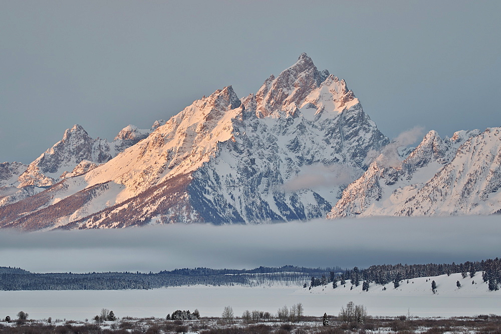 Mount Moran in the winter with snow, Grand Teton National Park, Wyoming, United States of America, North America