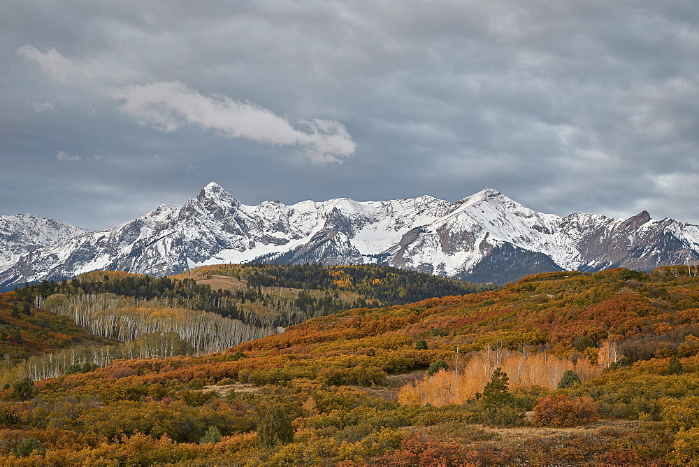 Sneffels Range in the fall, Uncompahgre National Forest, Colorado, United States of America, North America