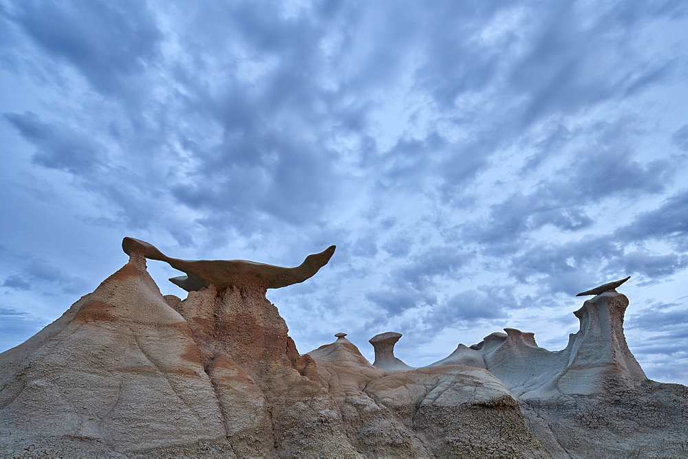 Wings with clouds, Bisti Wilderness, New Mexico, United States of America, North America