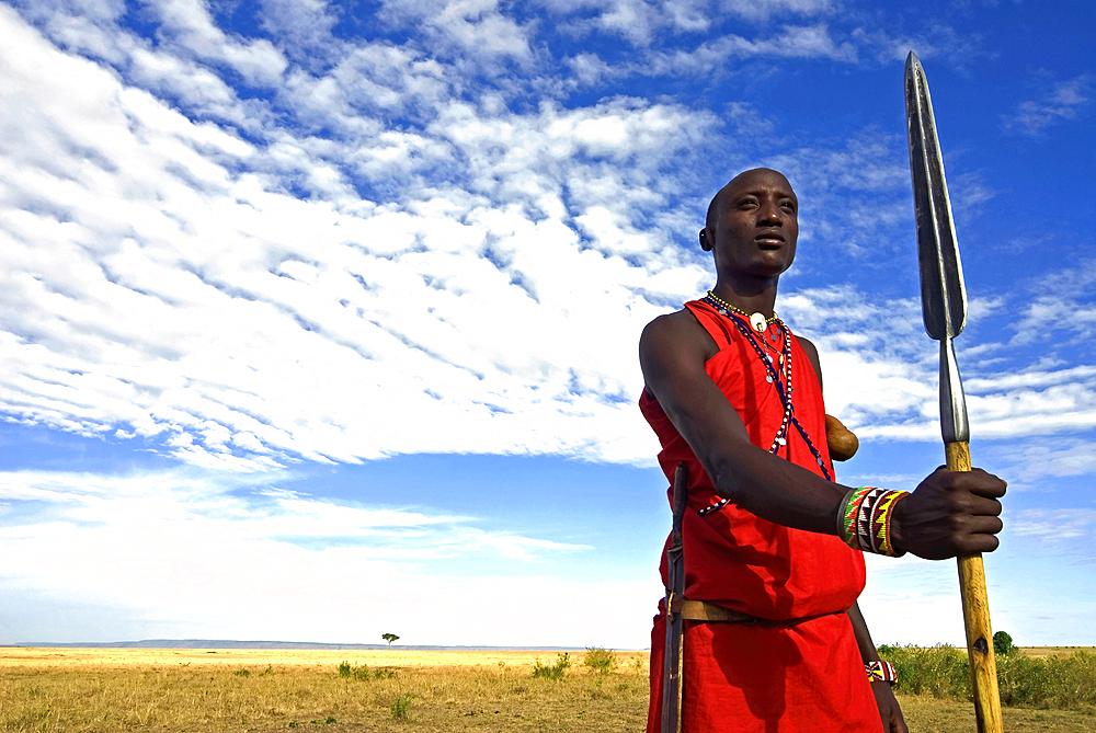 Maasai (or Masai) Warrior, Masai Mara National Reserve, Kenya, East Africa, Africa