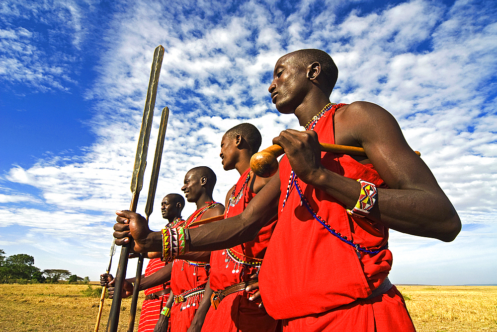 Maasai (Masai) Warriors, Masai Mara National Reserve, Kenya, East Africa, Africa