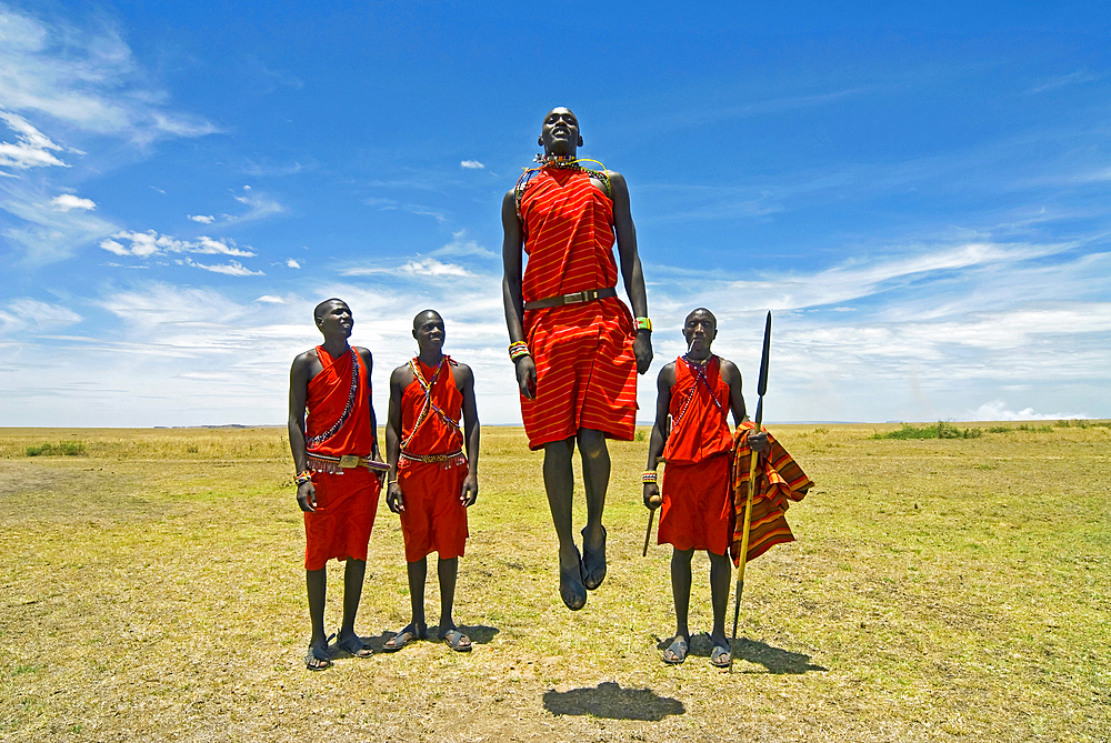 Maasai (Masai) warriors perform jumping dance, Masai Mara National Reserve, Kenya, East Africa, Africa