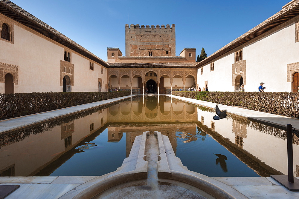 Court of the Myrtles, Alhambra, UNESCO World Heritage Site, Granada, province of Granada, Andalusia, Spain, Europe