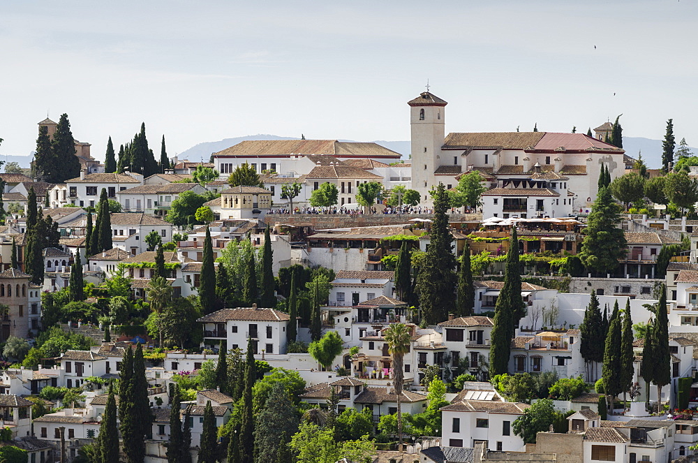 Granada, Province of Granada, Andalusia, Spain, Europe