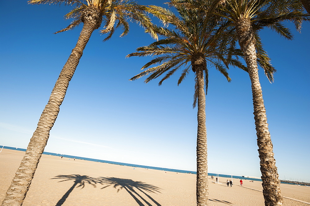 Malvarrosa Beach, Valencia, Spain, Europe