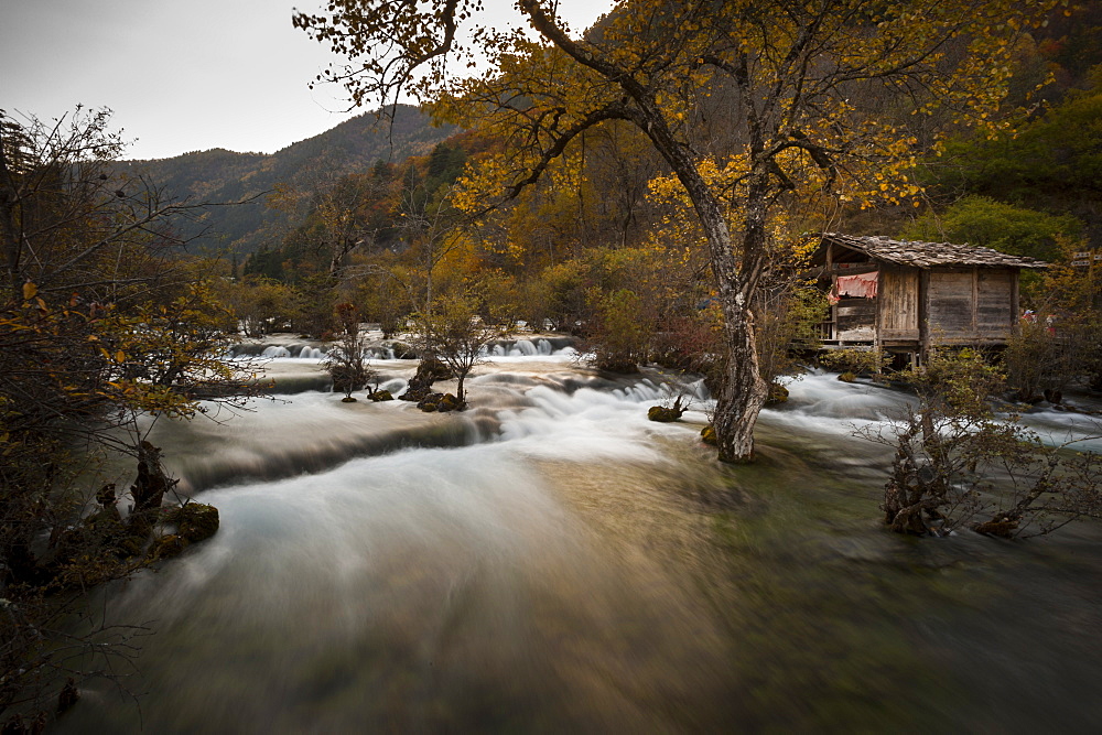 Jiuzhaigou (Nine Village Valley), UNESCO World Heritage Site, Sichuan province, China, Asia