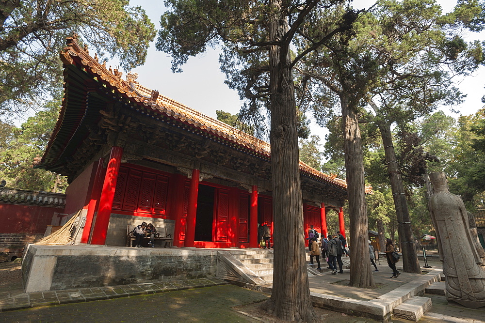 Confucius Forest and Cemetery, Qufu, UNESCO World Heritage Site, Shandong province, China, Asia