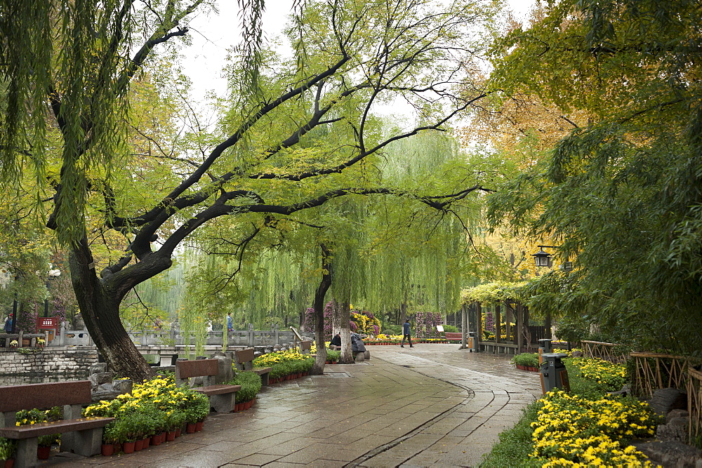 Baotu Spring Park, Jinan, Shandong province, China, Asia